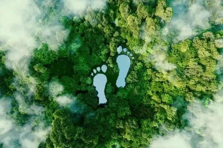 how to reduce carbon footprint