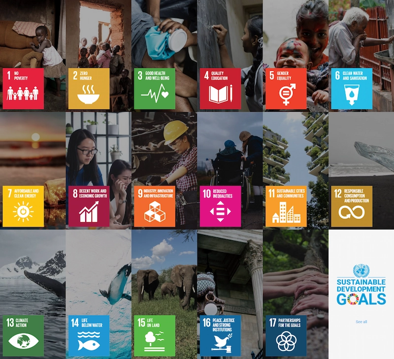 UN 17 goals toward sustainable living and development globally