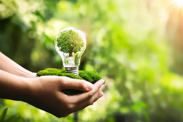 what is sustainable energy and how it affects surrounding