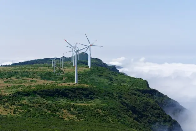 wind energy turbines-harnessing the wind